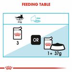 Feeding table diagram for a cat with symbols and text indicating feeding amounts and water intake.