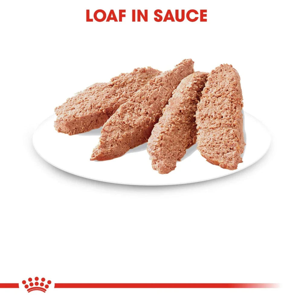 Three loaves of bread in sauce on a white plate with 'Loaf in Sauce' text above.