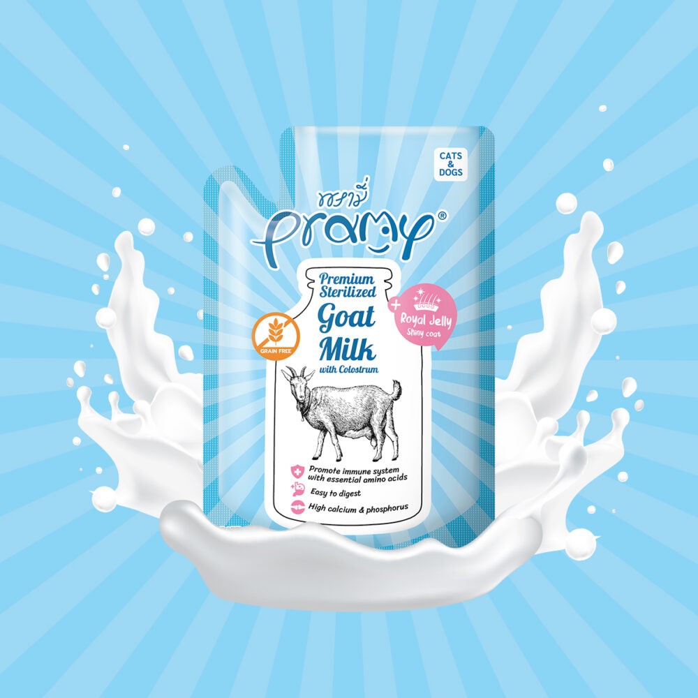 Pramy Sterilized Goat Milk with Colostrum + Royal Jelly 60g Petfast.shop Pramy Cat Dog Exclusive Skin & Coat Care Wet Food petfast.shop Egypt PPR5941S Default Title 180.00