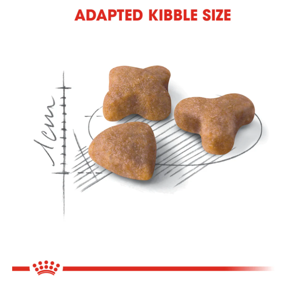 Royal Canin Sensible All Breeds Adult Cat Food.