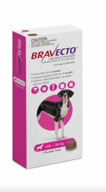 Bravecto MSD 40-56Kg Adult Dog Flea & Tick Treatment - 1 Tablet.