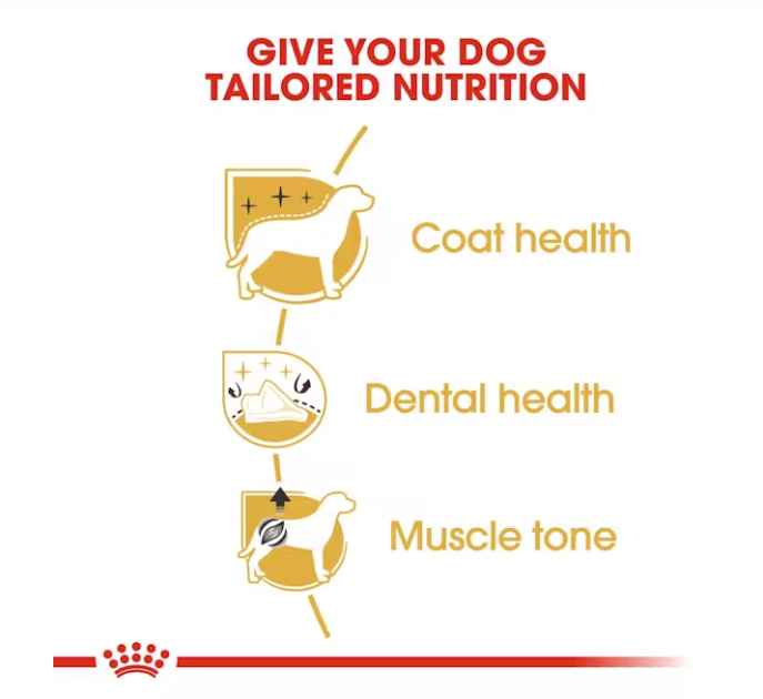 Royal Canin Poodle Adult Dog Food 3kg.