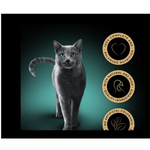 Sheba Seasons Collection Cat Wet Food Turkey In Delicate Sauce 85 g Petfast.shop Sheba Cat Exclude Exclusive Food Wet Food petfast.shop EgyptDefault Title 275.00