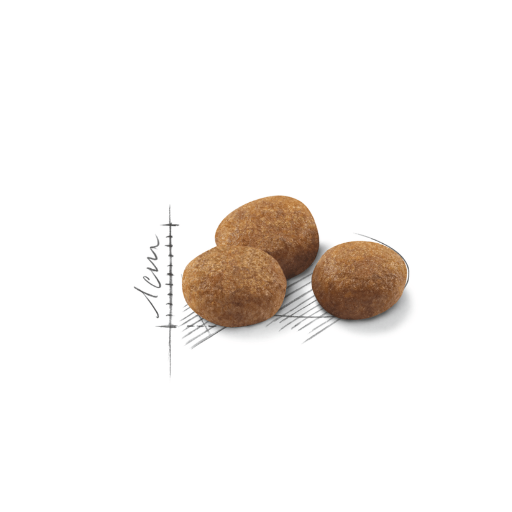 Royal Canin Sterilised 7+ All Breeds Mature Cat Food 1.5kg.