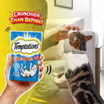 Person holding a package of Temptations cat treats with a cat looking at it, on a yellow background.