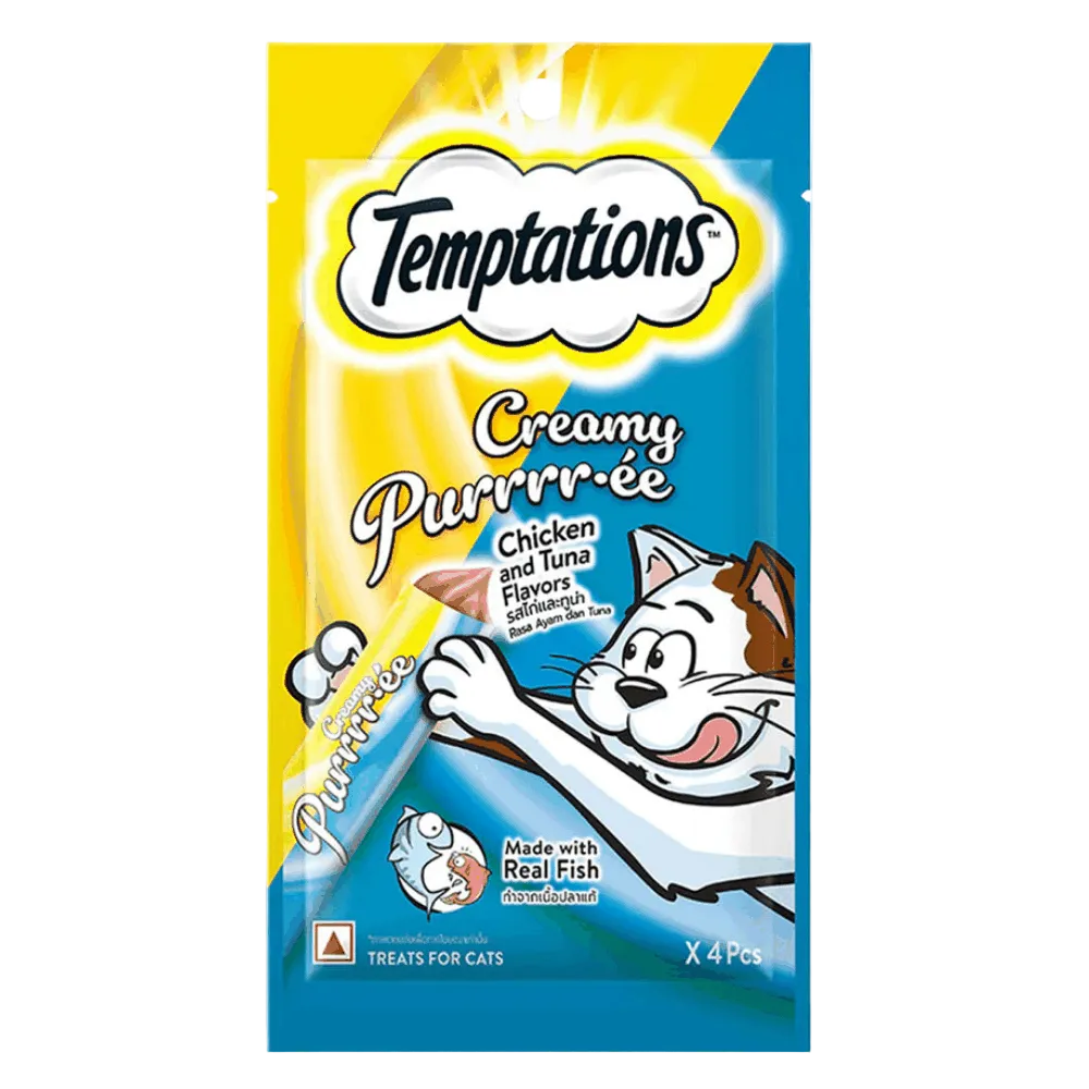 Temptations cat treats packaging with cartoon cat on a white background