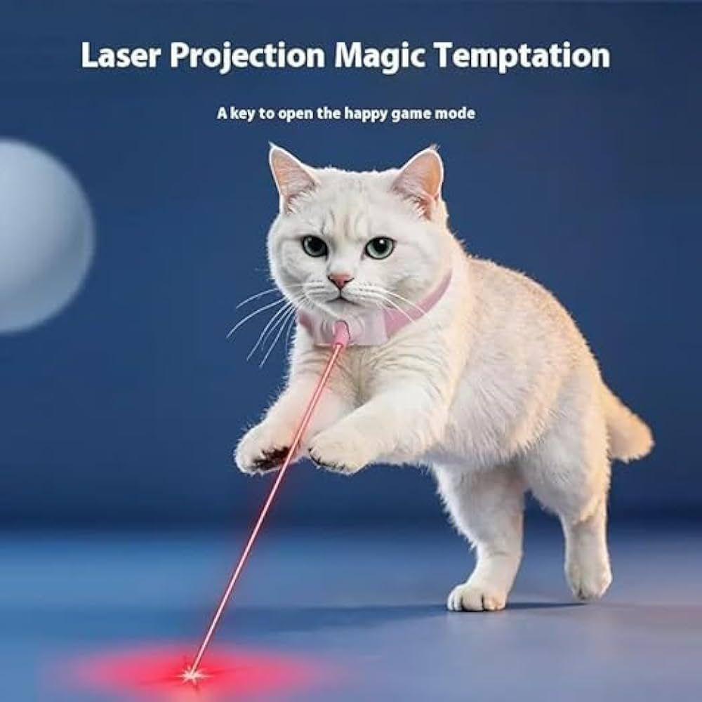 White cat playing with a laser pointer on a blue background