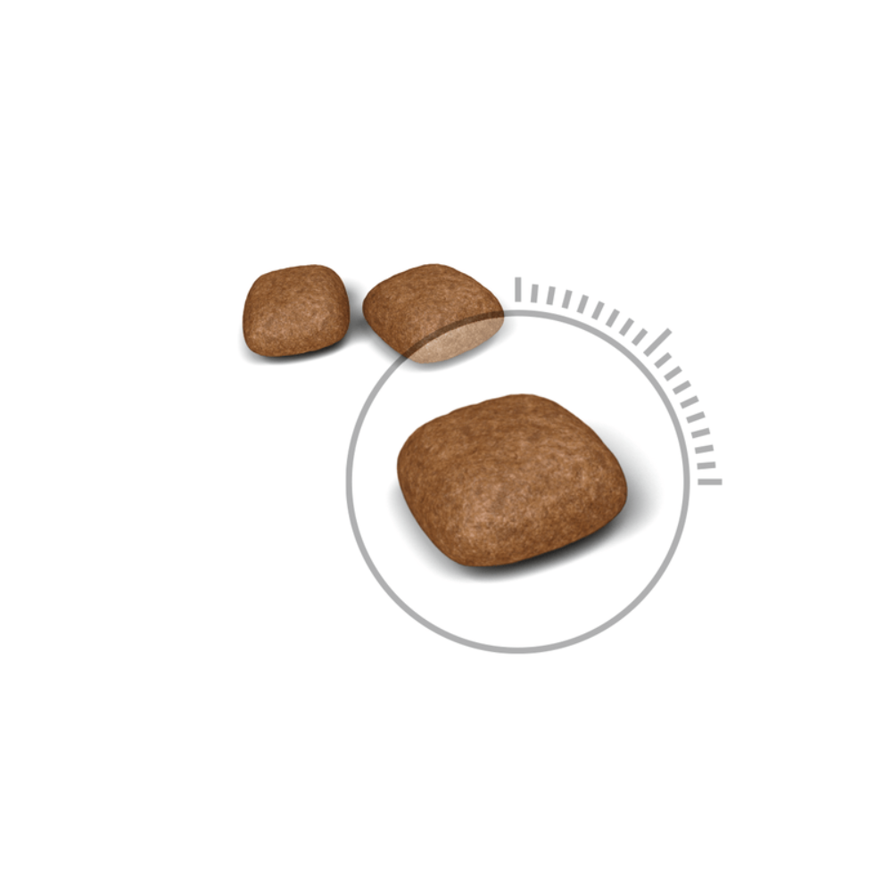 Royal Canin Urinary Care All Breeds Adult Cat Food.