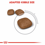 Royal Canin Urinary Care All Breeds Adult Cat Food.