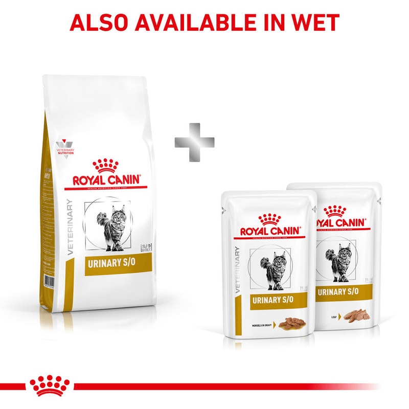 Royal Canin Urinary S/O All Breeds Adult Cat Food.