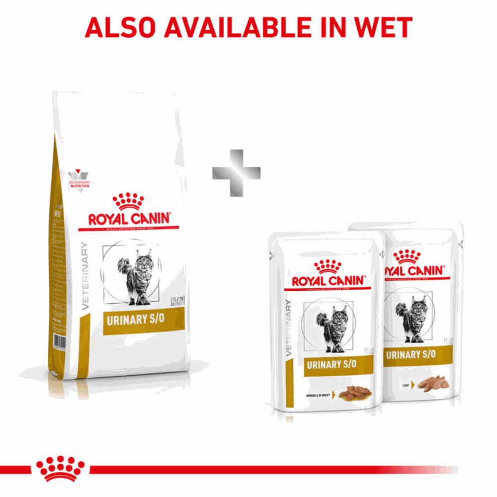 Royal Canin Urinary S/O All Breeds Adult Cat Food.