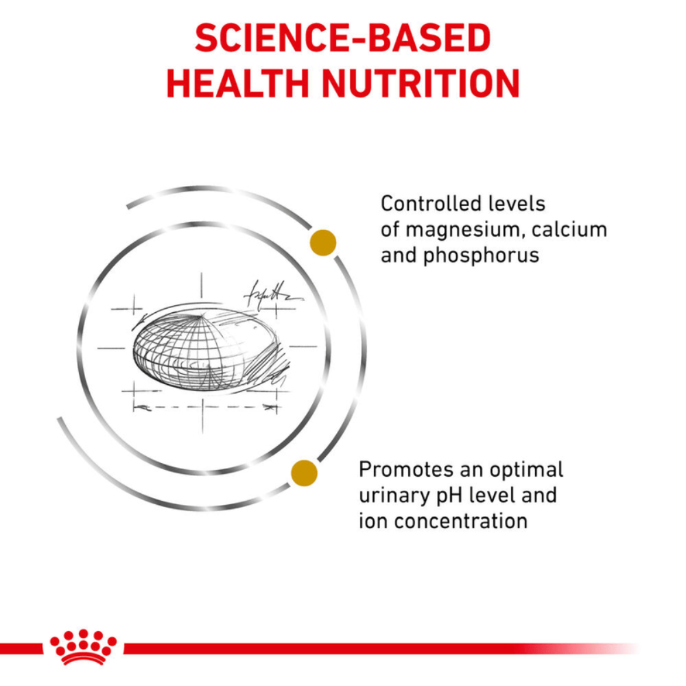 Royal Canin Urinary S/O All Breeds Adult Cat Food.