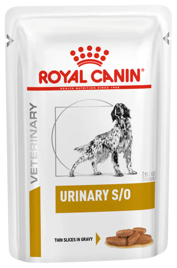 Royal Canin Veterinary Diet Urinary S/O wet dog food pouch packaging.