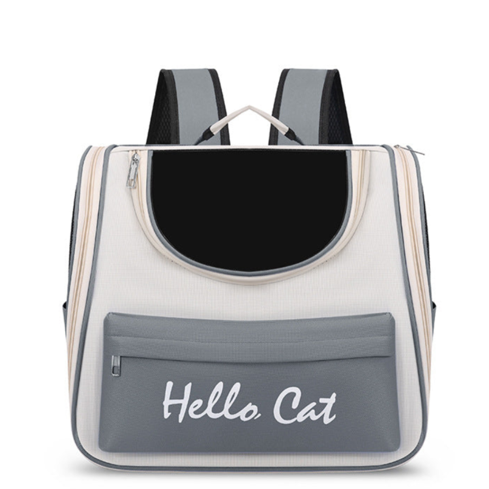 Backpack with transparent sides and 'Hello Cat' text on a white background