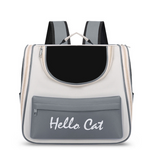 Backpack with transparent sides and 'Hello Cat' text on a white background