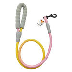PawZilla Leash.