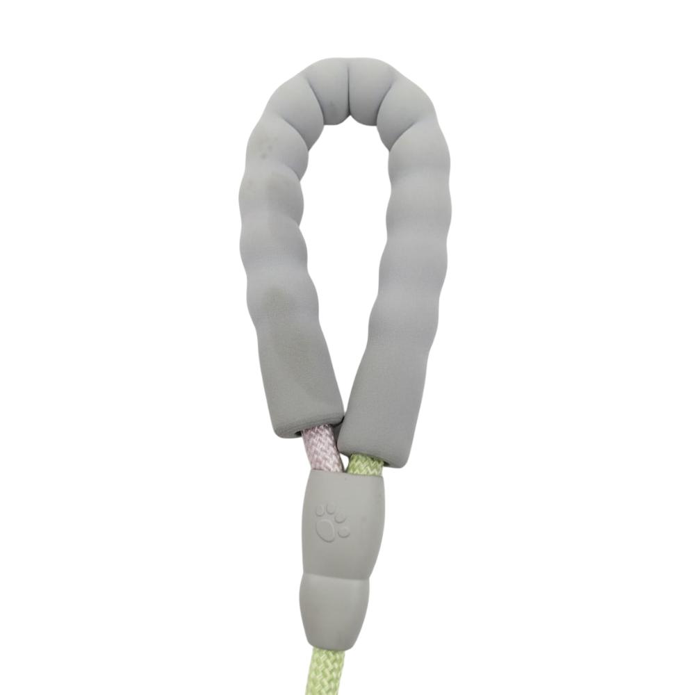 PawZilla Leash.