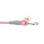 PawZilla Leash.