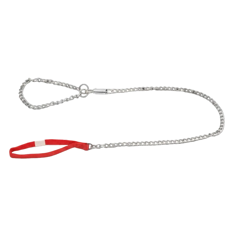 Dog chain stainless steel with collar 1.5ml for small dogs Petfast.shop Generic Dog leash & Coller & Harness Supplies petfast.shop Egypt PDO2973S Default Title 140.00