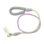 PawZilla Leash.
