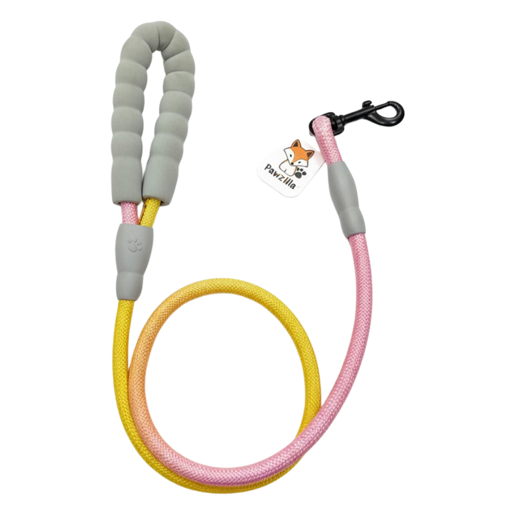 PawZilla Leash.