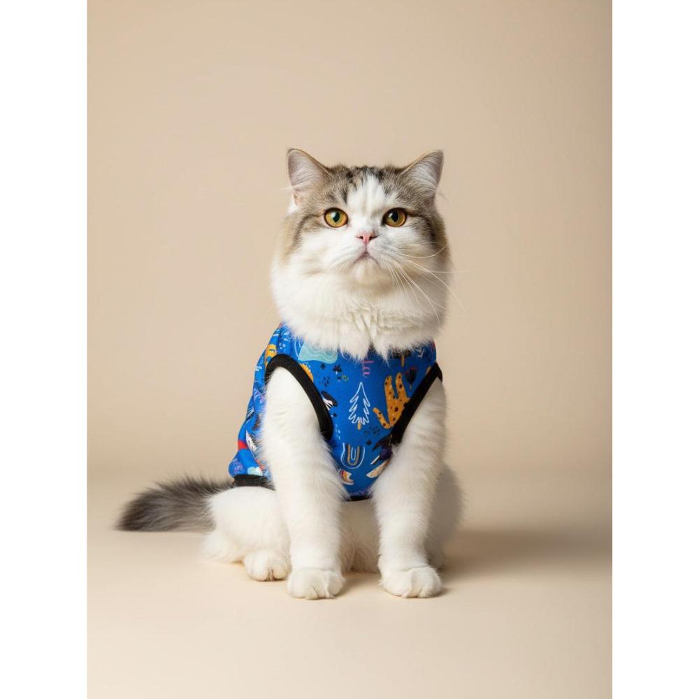Cat wearing a blue outfit with a pattern, sitting on a beige background.