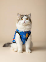 Cat wearing a blue outfit with a pattern, sitting on a beige background.
