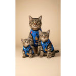 Three cats wearing matching blue outfits with colorful patterns on a beige background, branded 'Petmoda'.