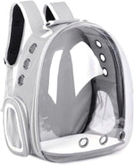 Clear pet carrier backpack with gray frame on a white background