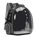 Pet carrier backpack with transparent front on a white background