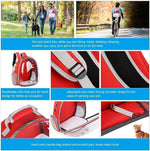 Red pet carrier with multiple views and features highlighted on a blue background