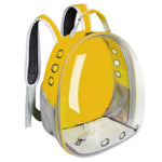 Yellow transparent backpack with clear front panel on a white background