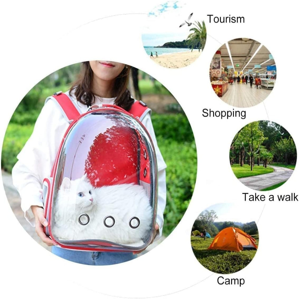 Person holding a transparent backpack with a red interior, showing a cat inside, with lifestyle scenarios around it.