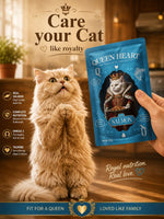 Queen Heart Super premium Wet Food For Adult Cat With Salmon 85 g Petfast.shop Queen Heart Cat Food Wet Food petfast.shop EgyptDefault Title 40.00