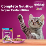 Whiskas Junior Kitten Wet Food with Duck 85g Petfast.shop Whiskas Cat Exclusive Food Kitten Wet Food petfast.shop EgyptDefault Title 135.00