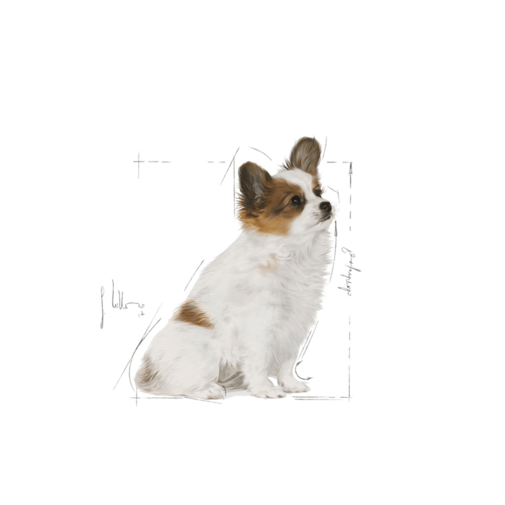Royal Canin Puppy X-Small Breed Dog Food 1.5kg.