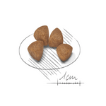 Royal Canin Puppy X-Small Breed Dog Food 1.5kg.