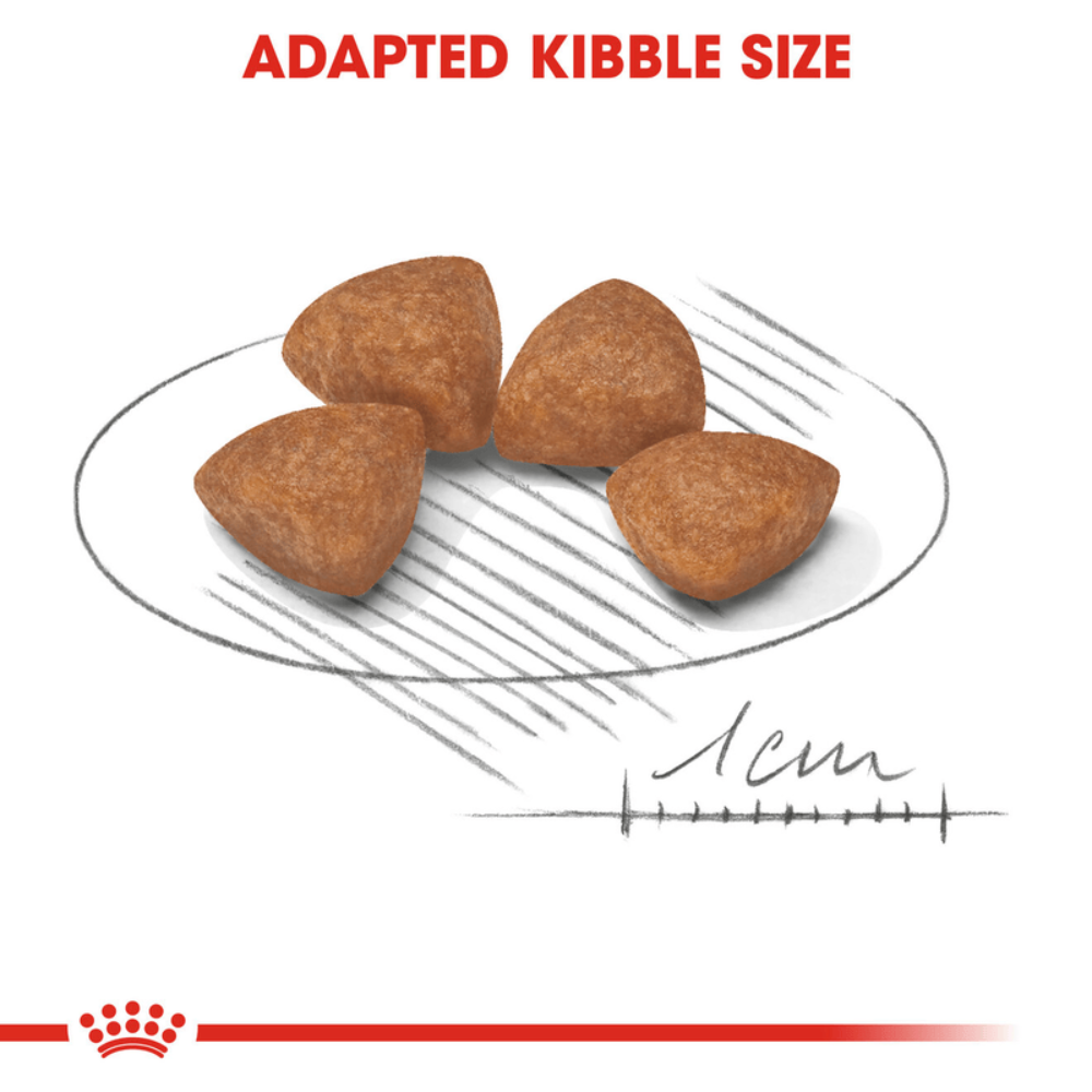 Royal Canin Puppy X-Small Breed Dog Food 1.5kg.