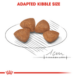 Royal Canin Puppy X-Small Breed Dog Food 1.5kg.