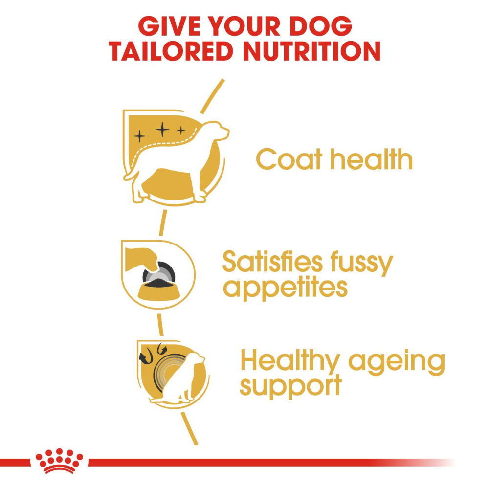 Royal Canin Yorkshire Terrier Adult Dog Food 1.5kg.