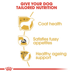 Royal Canin Yorkshire Terrier Adult Dog Food 1.5kg.