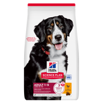Hill's Science Plan Large Breed Adult Dog Food with Chicken Petfast.shop Hill's Dog Dry Food Food petfast.shop Egypt2.5K 1460.00