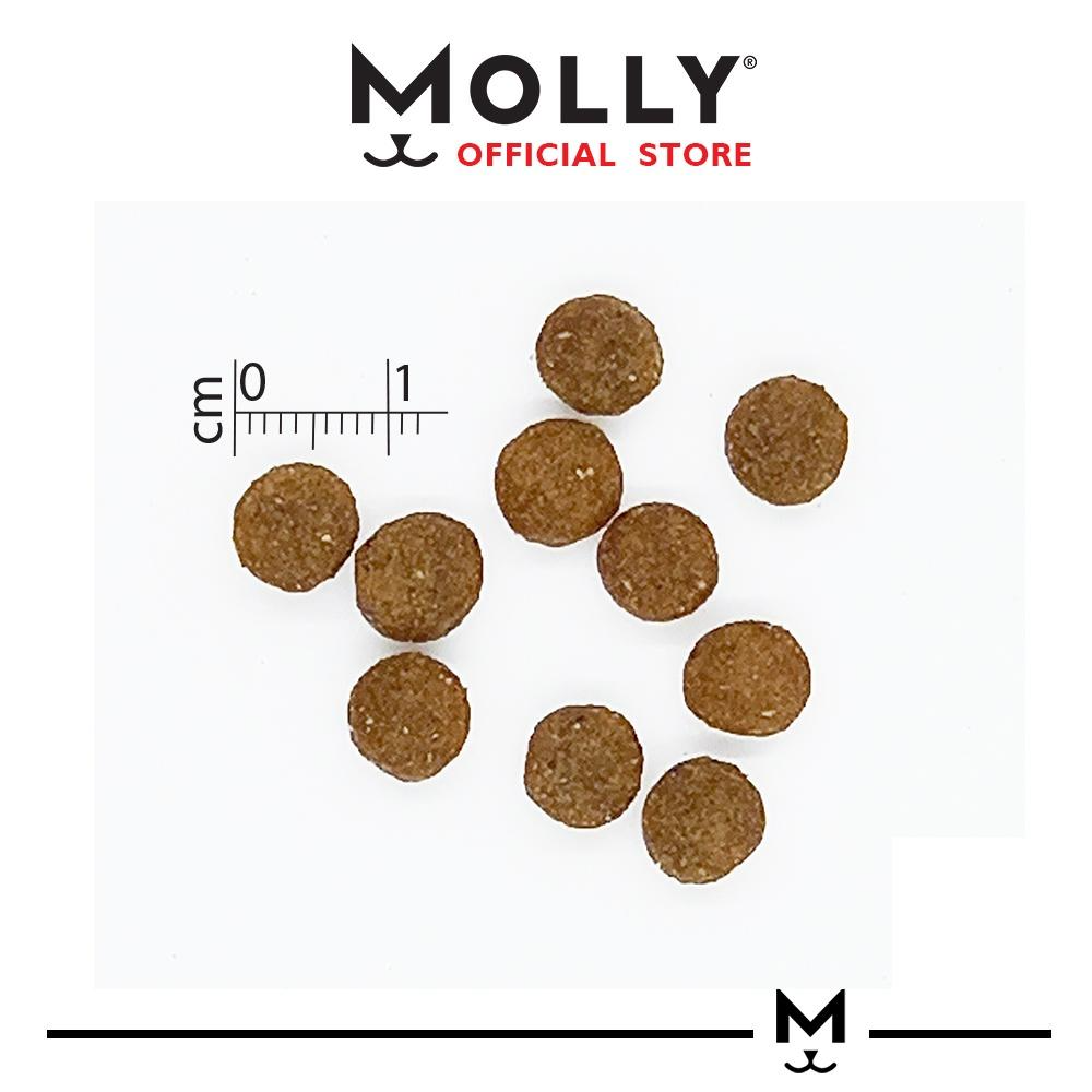 Cat food pellets with a measurement scale and 'Molly' branding on a white background