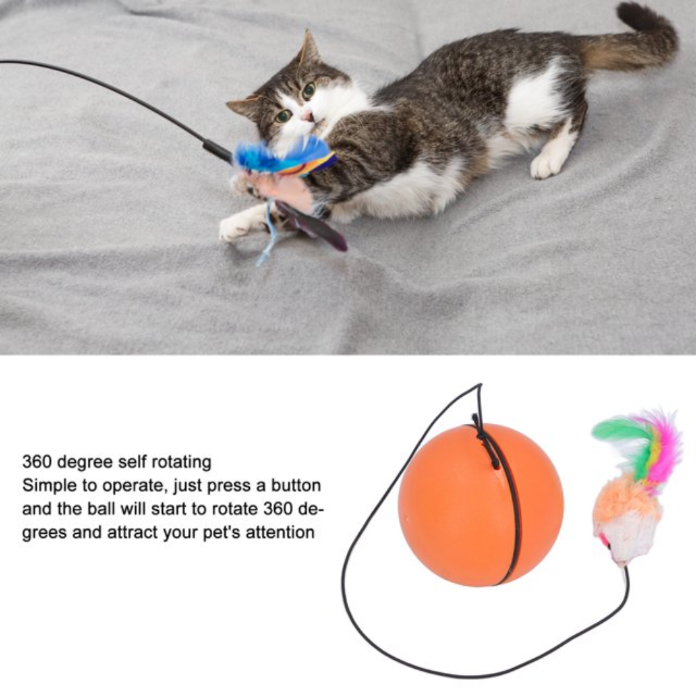 Cat playing with a 360-degree self-rotating toy on a gray surface.