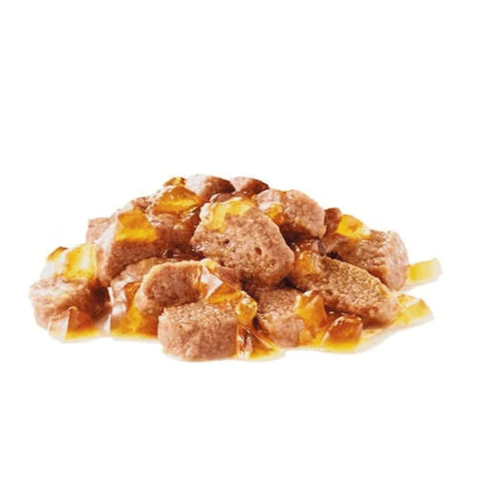 Dog food with visible chunks on a white background