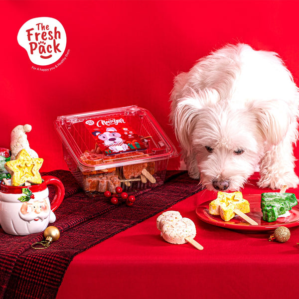 Dog eating from a plate with Christmas-themed treats on a red tablecloth, featuring 'The Fresh Pack' brand.