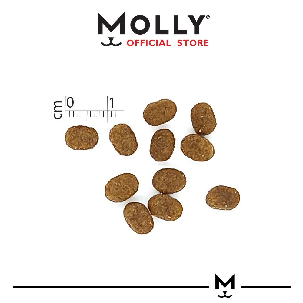 Cat food pellets with a measurement scale and 'Molly' branding on a white background