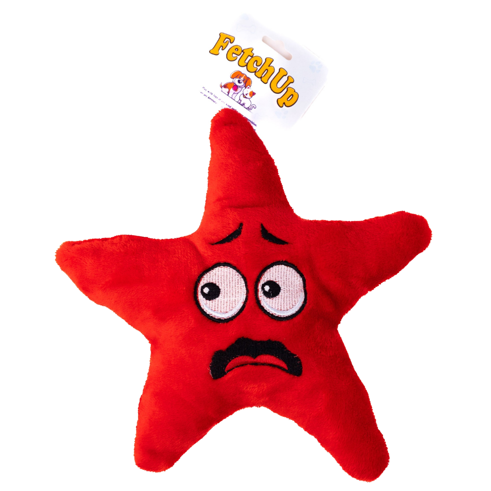 Fetch Up Star Dog Toy.