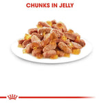 Dog food chunks in jelly on a white plate with a red label