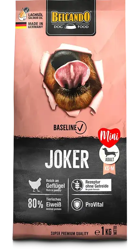 Dog food package with visible branding and product details on a white background